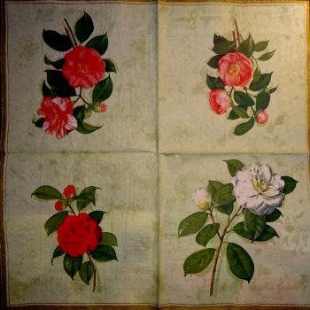 125 Rosen - 3-lagig (grün) - Ihr